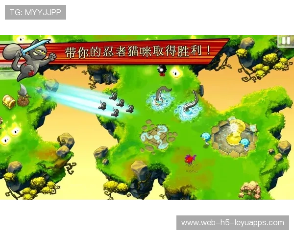 UFC比拉尔摔法训练精准提升：打造无敌地面格斗技巧