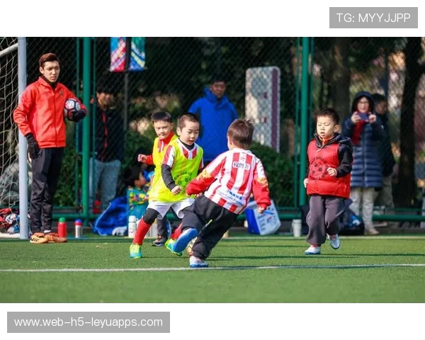 青训是否建立运动损伤风险等级评估体系，青训定义