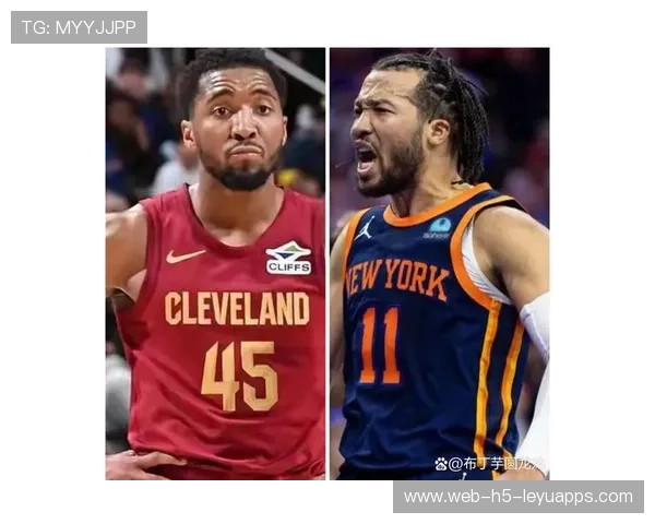 尼克斯米切尔·罗宾逊护筐稳，禁区不让进